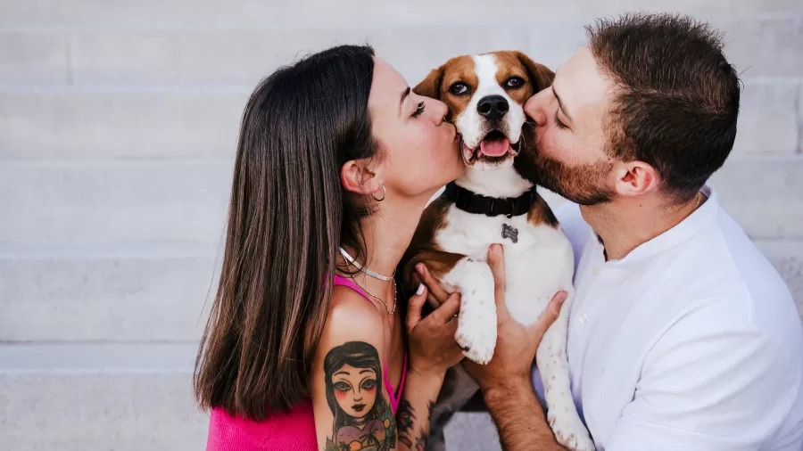 Cachorro gosta de beijo? Entenda o que seu pet sente com esse gesto