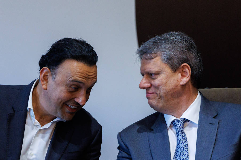 Vice de Tarcsio ganha preferncia do governador para possvel sucesso em 2026