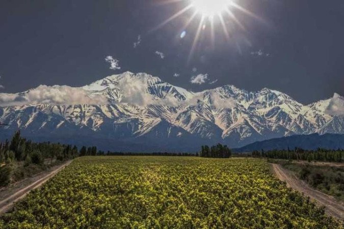Mendoza, a terra do vinho: um guia para visitantes de primeira viagem, por Luiz Carlos Azedo