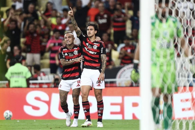 Flamengo e Palmeiras vencem e mantm liderana no Campeonato Brasileiro