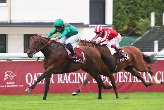 Daryz, do Aga Khan, � bicampe�o do Qatar Grand Prix L'Arc de Triomphe