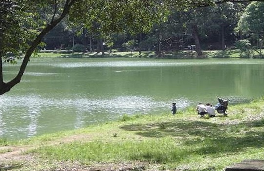 Parques de So Paulo so opes na cidade, por Yeda Saigh