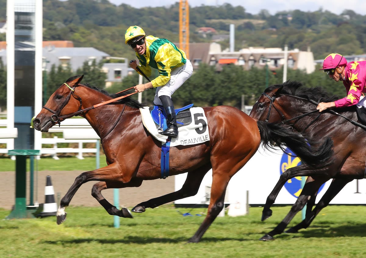 Ace Impact  apontado como favorito do GP de l'Arc de Triomphe (G.1), em Longchamp