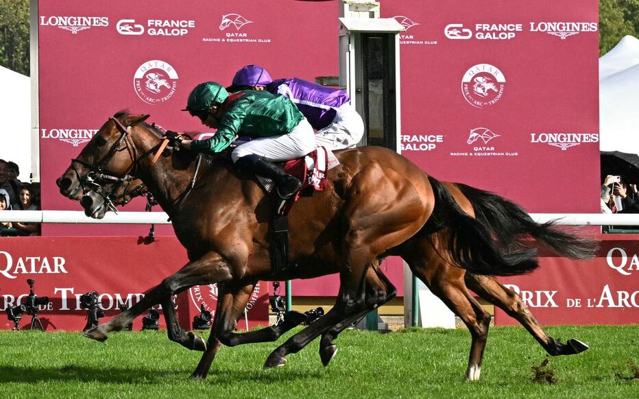 Daryz busca o bicampeonato no Grand Prix Qatar L'Arc de Triomphe deste domingo, em Longchamp