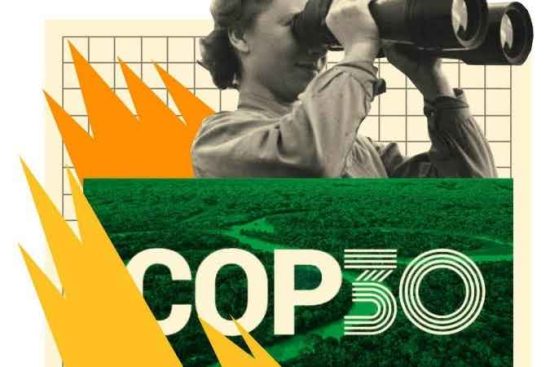 Incndio na Zona Azul foi anticlmax de uma COP tropical pautada pela esperana, por Luiz Carlos Azedo