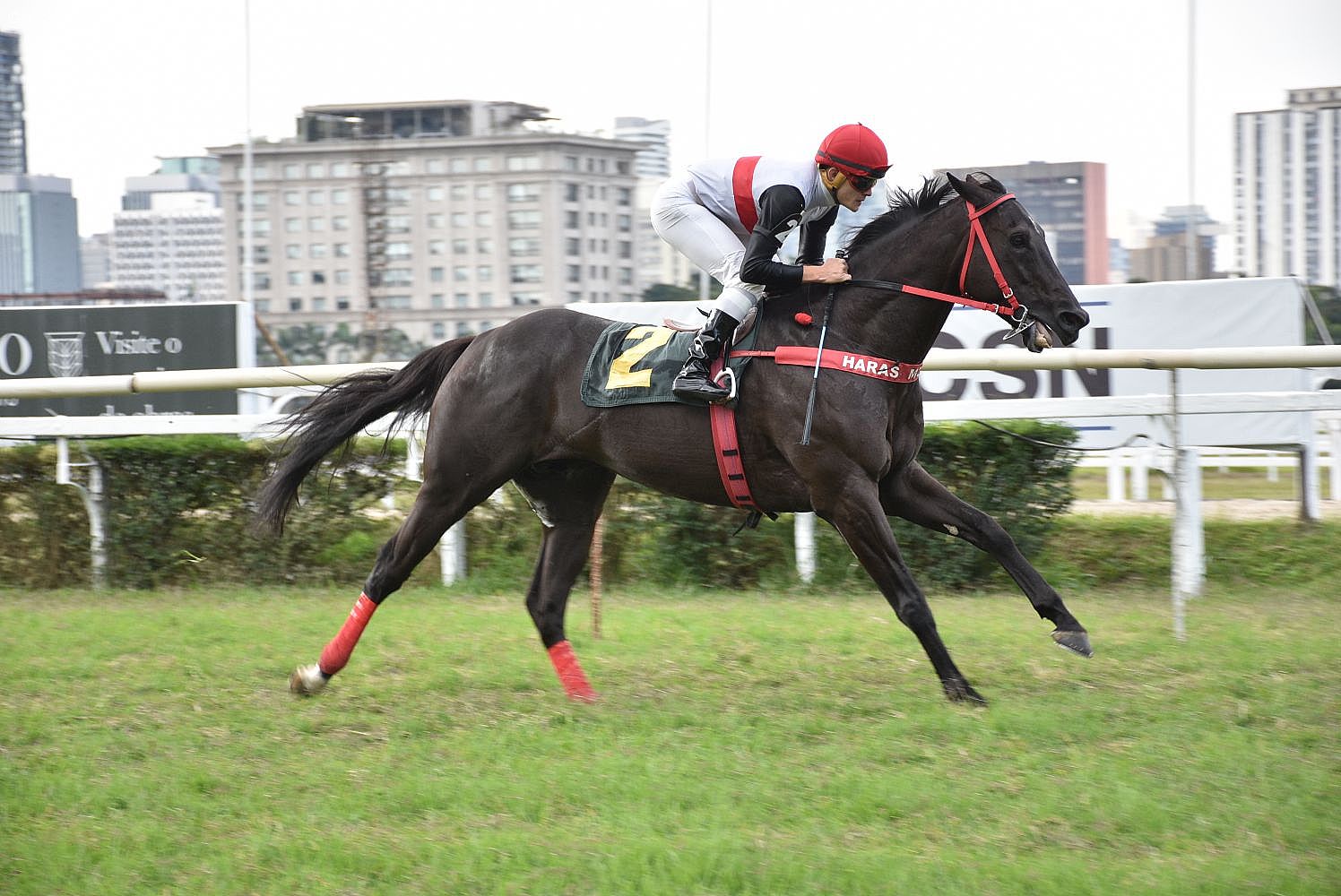 Doutor Sureo retorna neste sbado, no GP Matias Machline, em Cidade Jardim