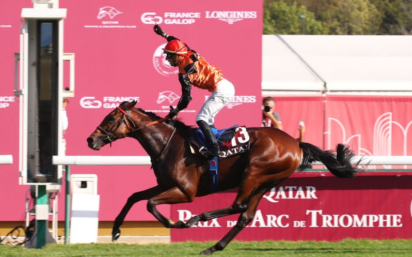 Ace Impact atropela e vence como favorito o GP Qatar l'Arc de Triomphe (G.1), em Longchamp