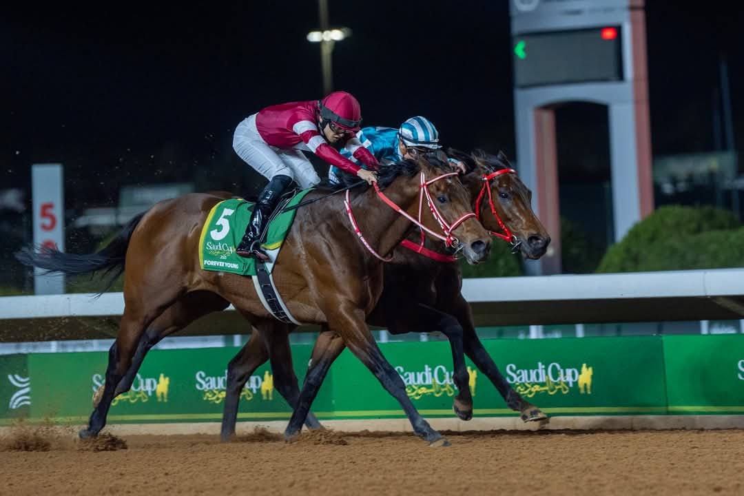 Forever Young tentar repetir em Dubai sua recente vitria na Saudi Cup