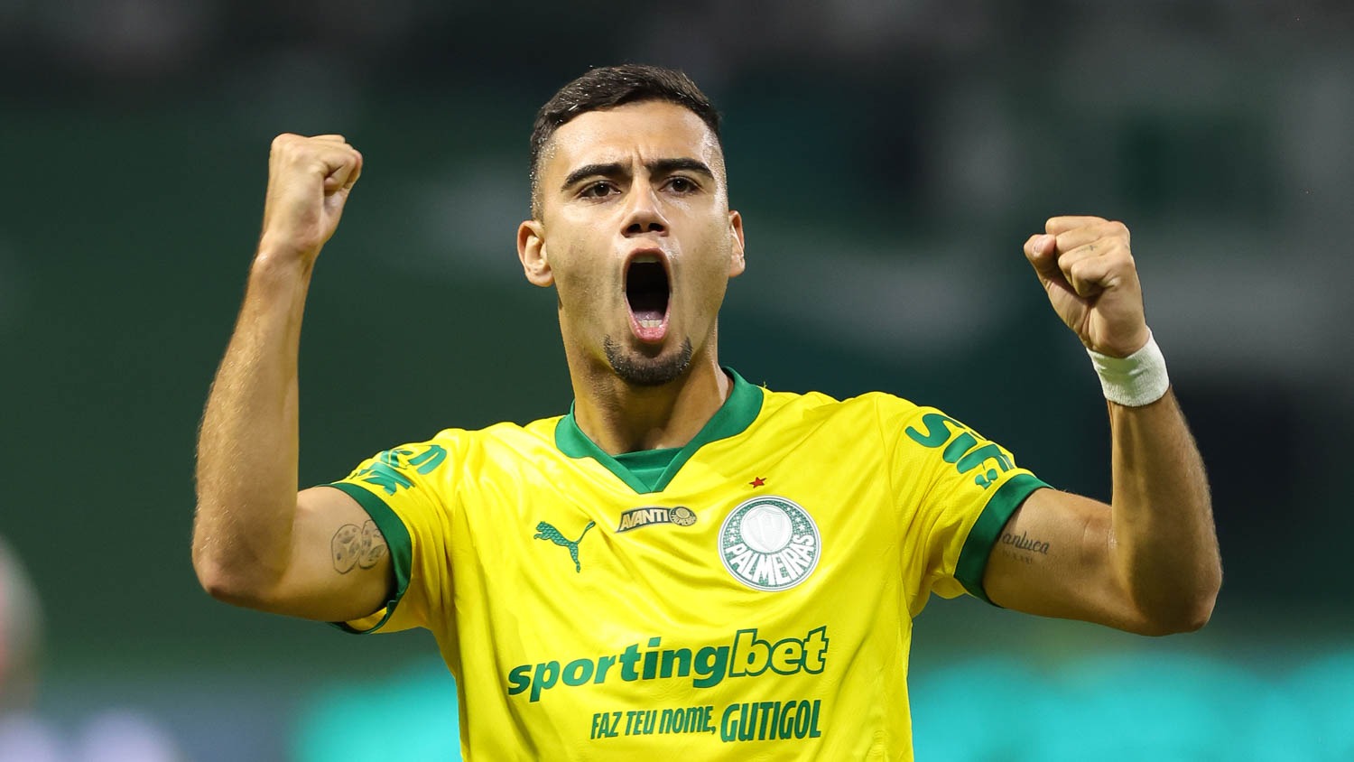 Palmeiras briga ponto a ponto com Flamengo e Cruzeiro em busca da liderana no Brasileiro