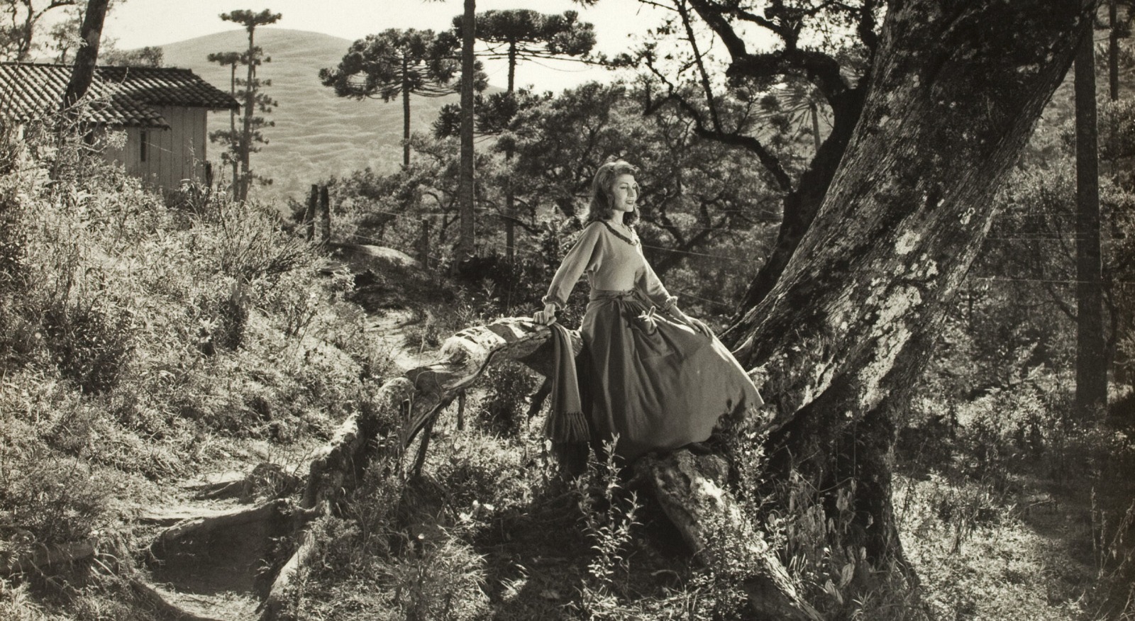 Cinemateca Brasileira apresenta mostra 