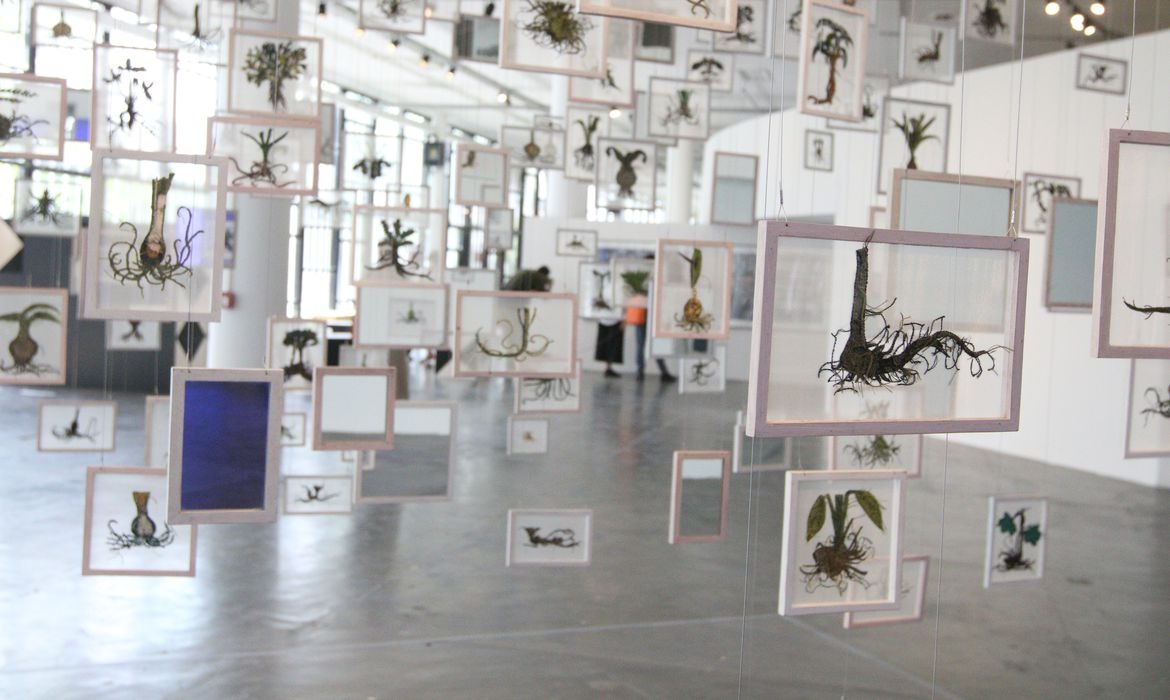 35 Bienal de So Paulo j est de portas abertas no Parque Ibirapuera