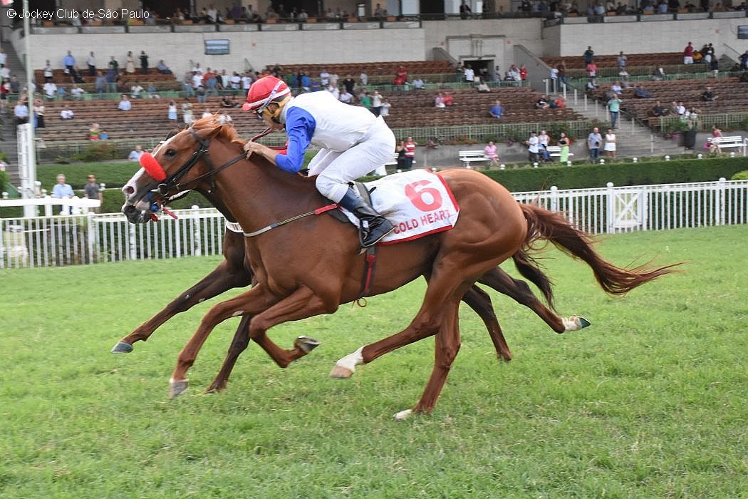 Cold Heart, da Fazenda Mondesir,  o campeo do GP Derby Paulista (G.1)