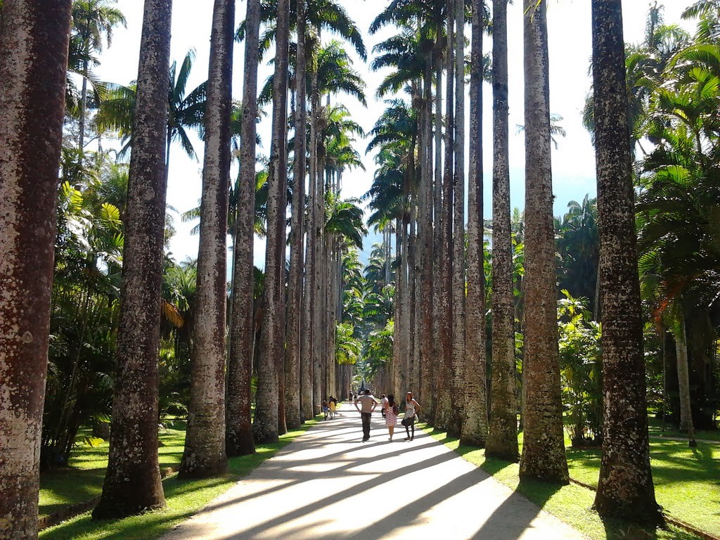 Dicas imperdveis para passeios no Rio de Janeiro, por Yeda Saigh