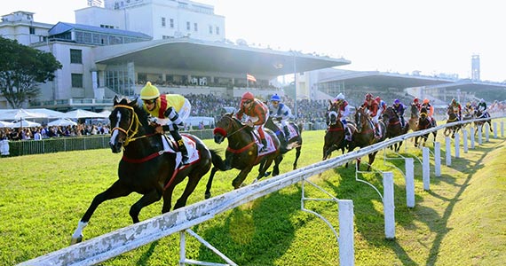 SP: Cmara Municipal quer proibir apostas em corridas de cavalos, por Cyro Fiuza